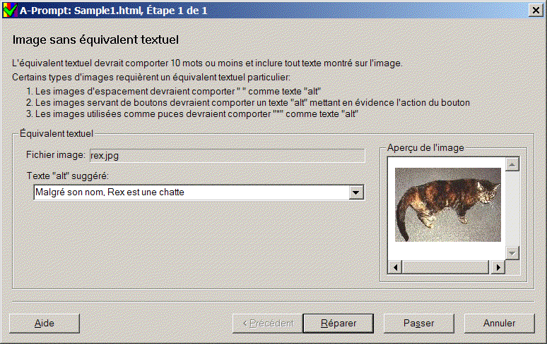 Capture d'cran du dialogue 'Image sans quivalent textuel'