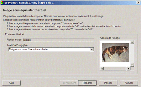 Capture d'cran du dialogue 'Image sans quivalent textuel'